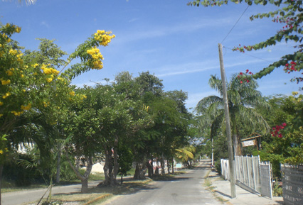 Bacalar Costera